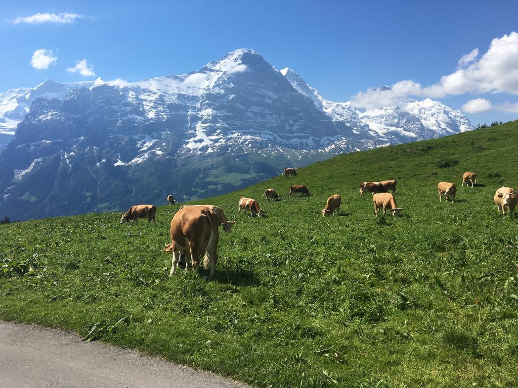Locherboden Grindelwald Exterior foto